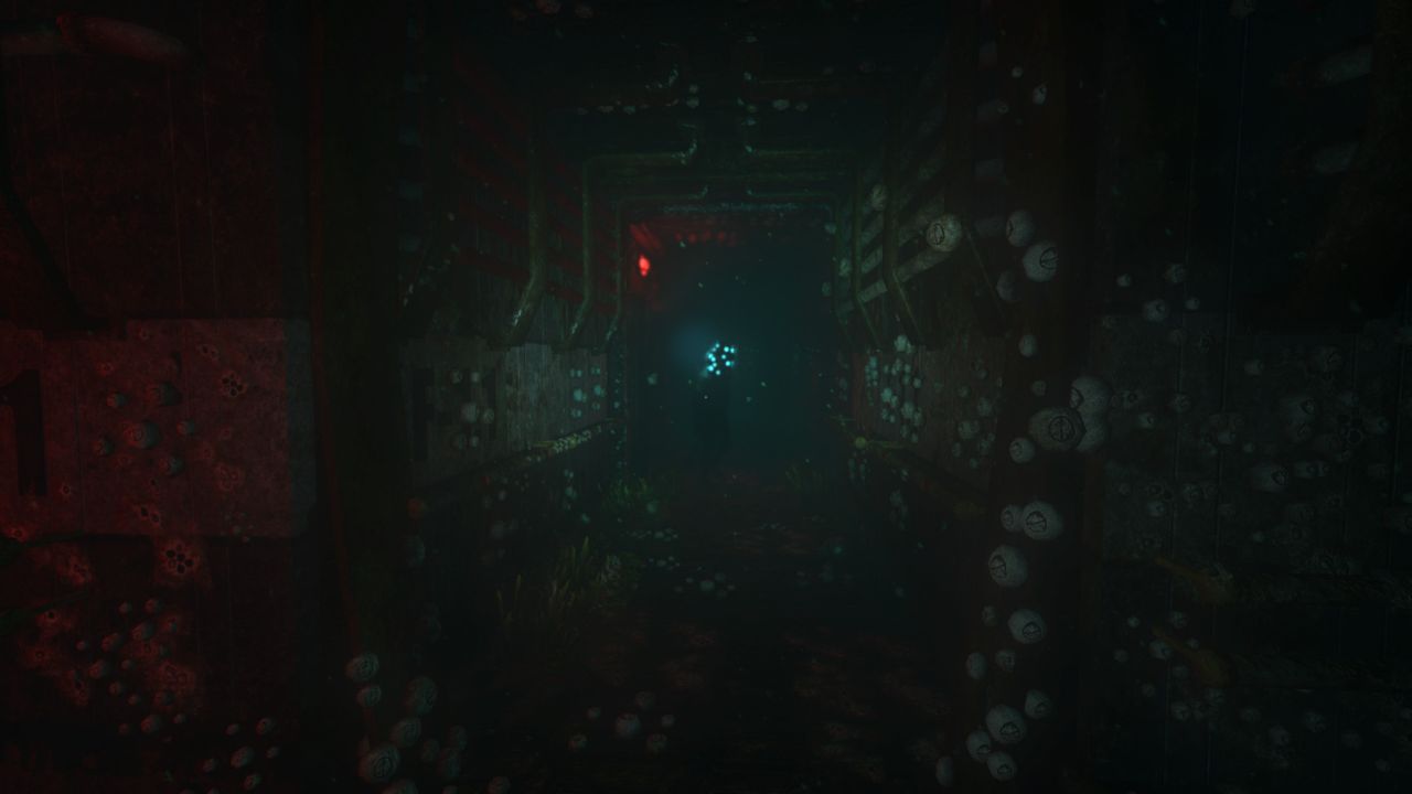 活体脑细胞/SOMA