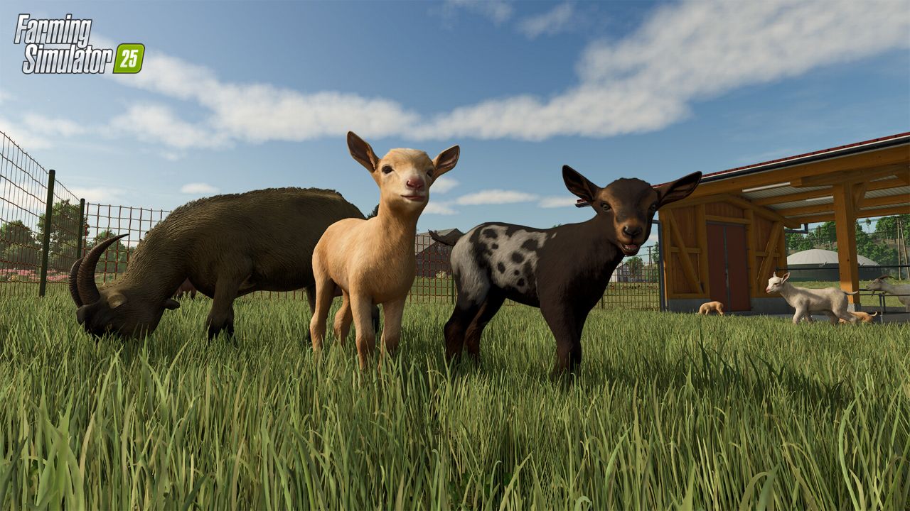 模拟农场25/Farming Simulator 25