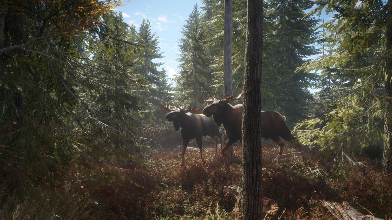 猎人：荒野的召唤/theHunter: Call of the Wild