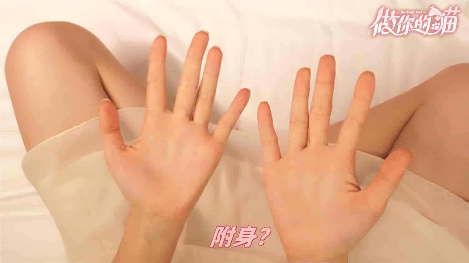 做你的猫/BeYourCat-蓝豆人-PC单机Steam游戏下载平台