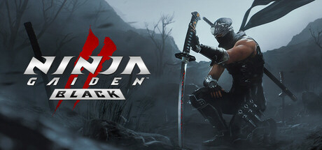 忍者龙剑传2：黑之章/NINJA GAIDEN 2 Black-蓝豆人-PC单机Steam游戏下载平台