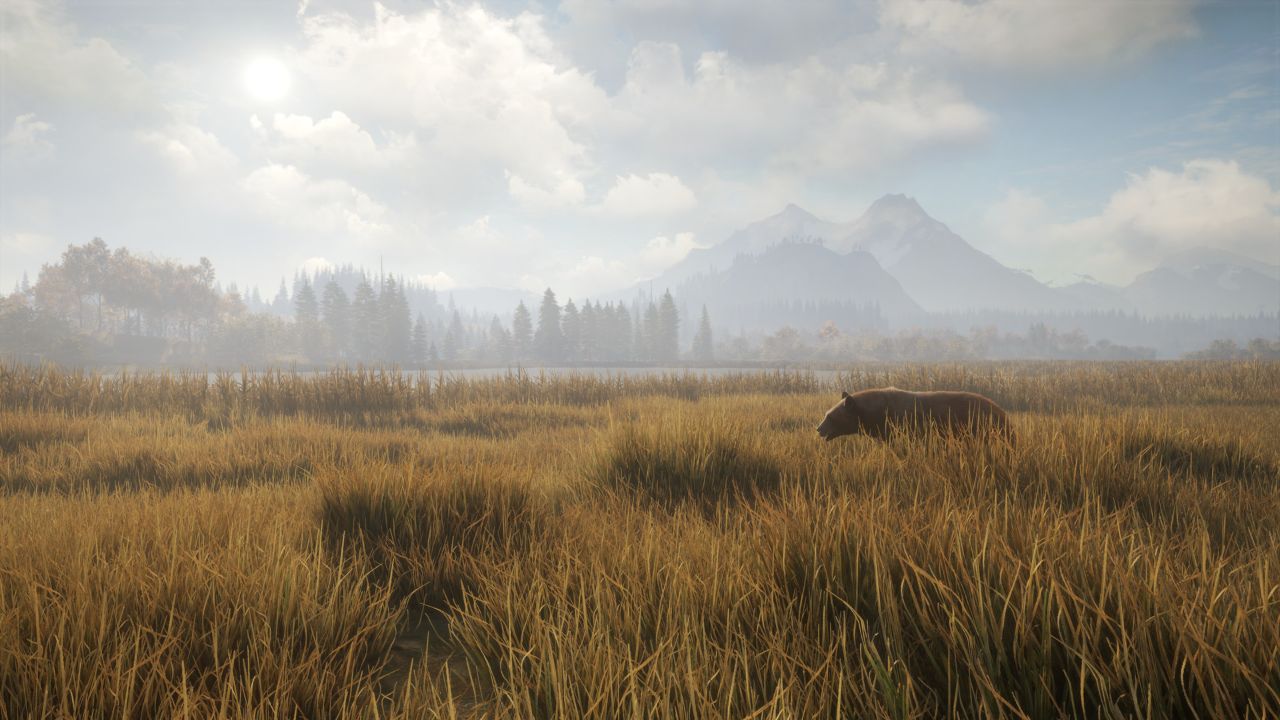 猎人：荒野的召唤/theHunter: Call of the Wild