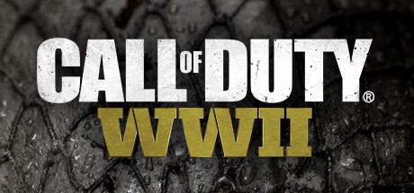 使命召唤14:二战/Call of Duty 14:WWII-蓝豆人-PC单机Steam游戏下载平台