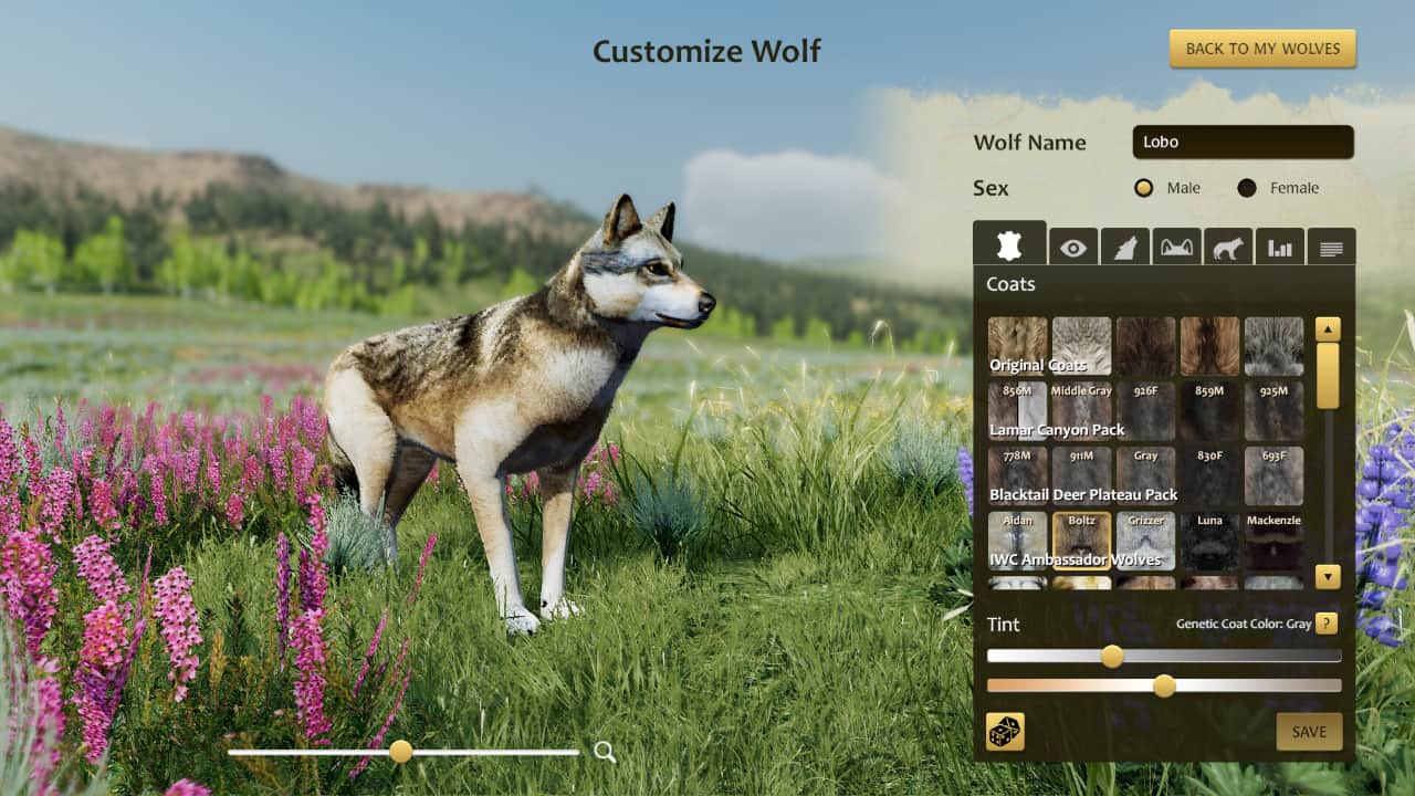 野狼谜踪：周年纪念版/WolfQuest: Anniversary Edition-蓝豆人-PC单机Steam游戏下载平台