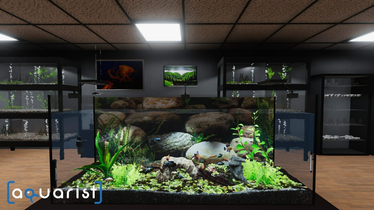 Aquarist - 建造水族馆，养鱼，发展你的事业！-蓝豆人-PC单机Steam游戏下载平台
