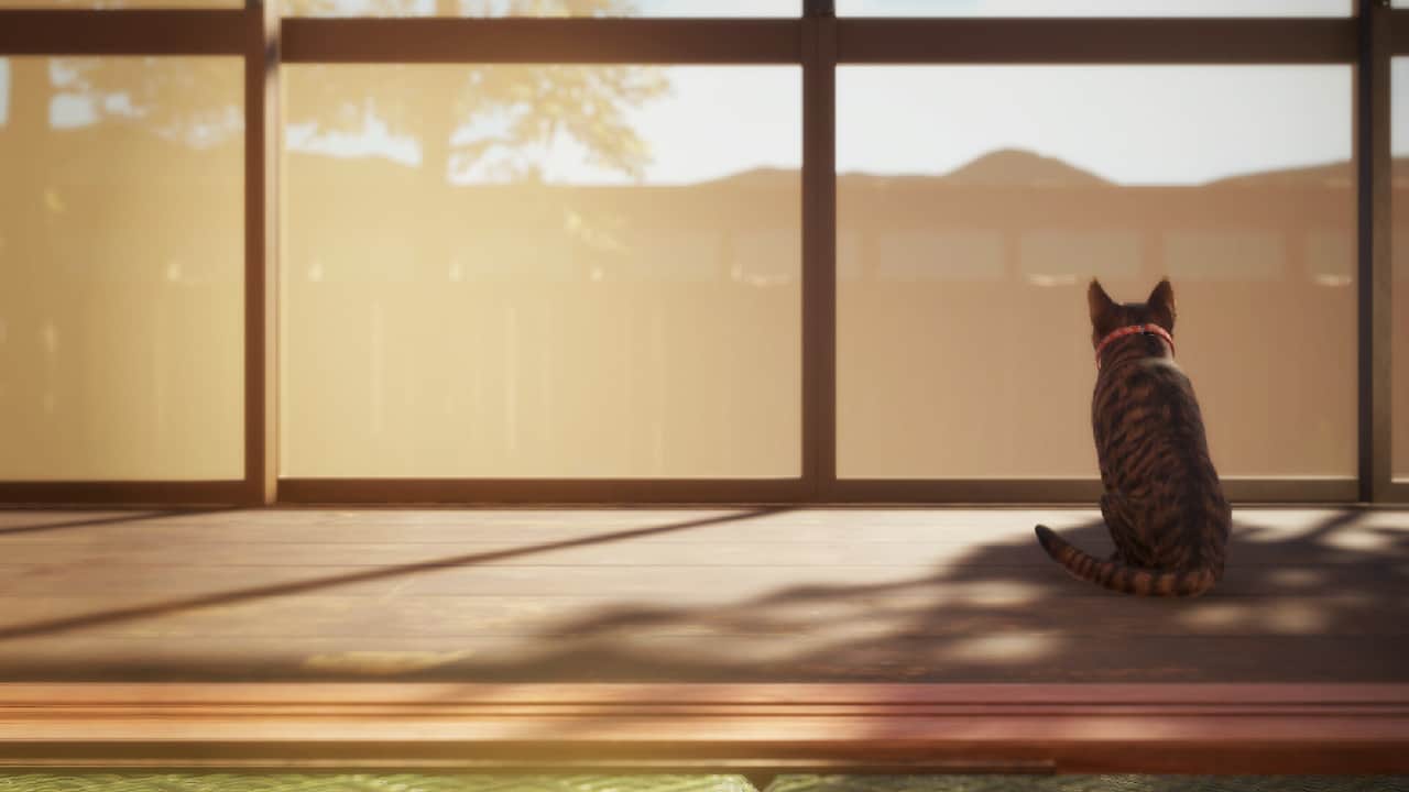 猫还在逃吗？/Still It Runs-蓝豆人-PC单机Steam游戏下载平台