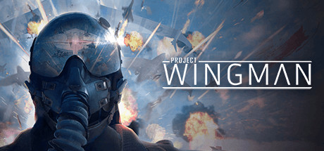 僚机计划 Project Wingman-蓝豆人-PC单机Steam游戏下载平台