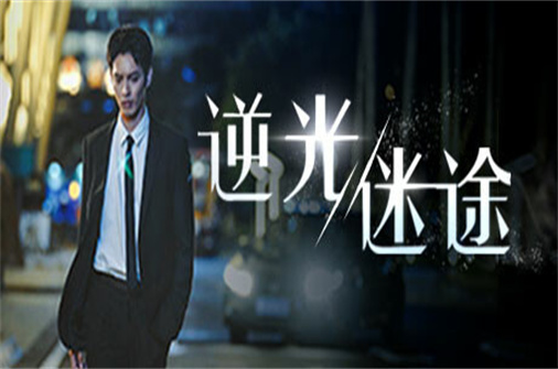 逆光迷途（v3560版）-蓝豆人-PC单机Steam游戏下载平台